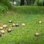 Semesterbostad Tihovo